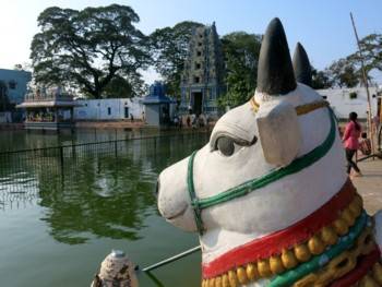 Pond inside Kukkuteswar temple