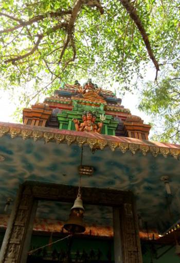 The temple top